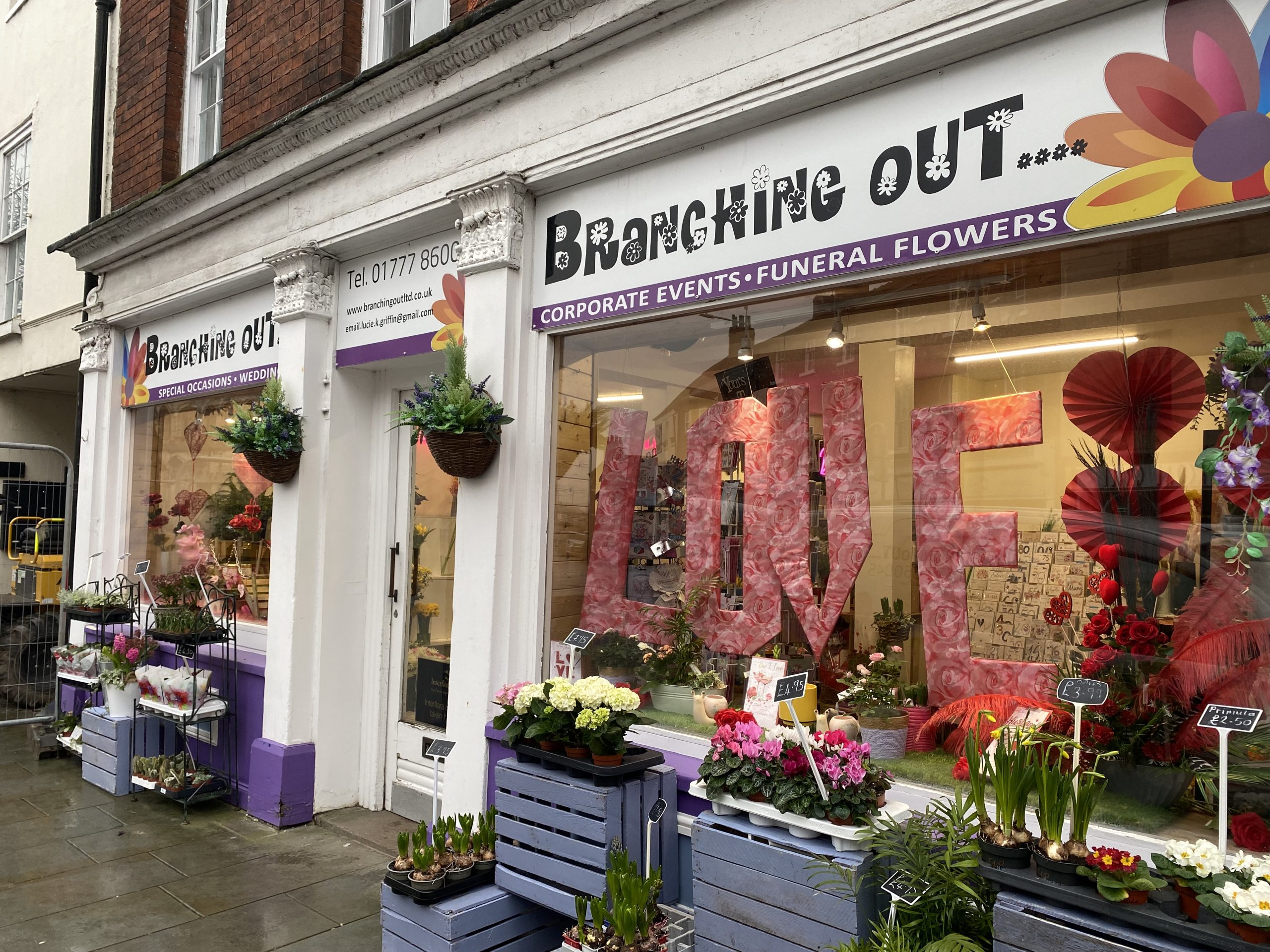 Branching Out